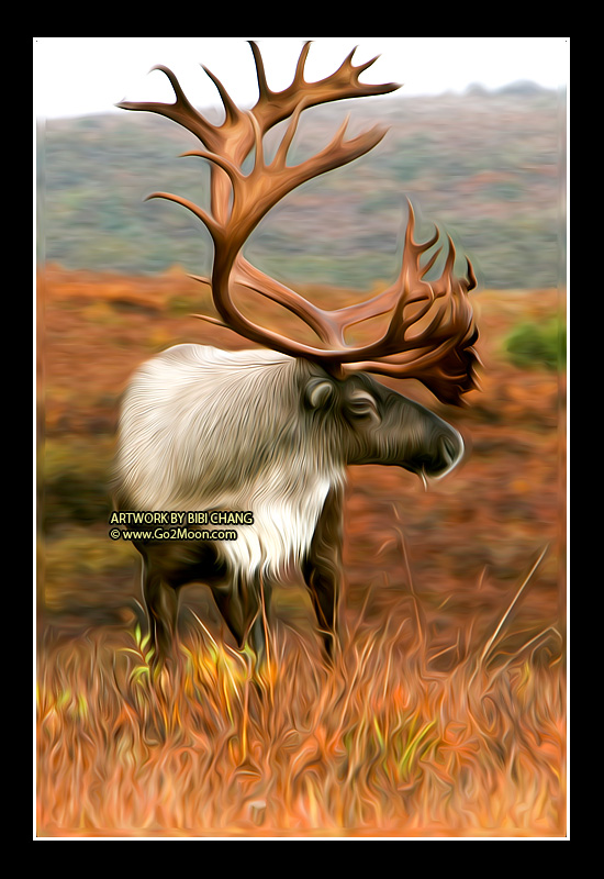 Caribou Oil Painting