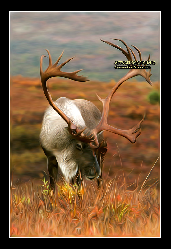 Caribou Oil Painting