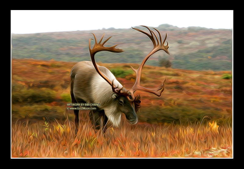 Caribou Oil Painting