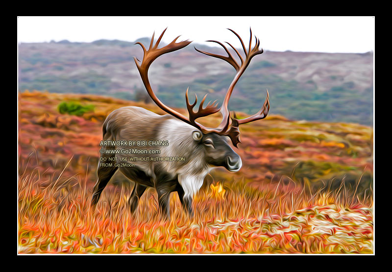 Caribou Oil Painting