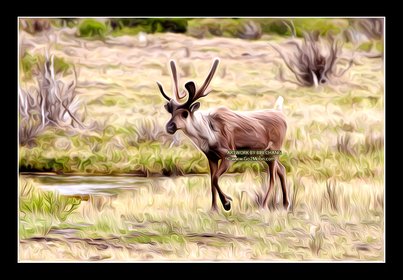 Caribou Oil Painting