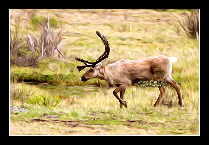 Caribou Oil Painting