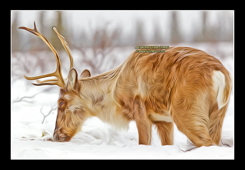 Caribou Oil Painting