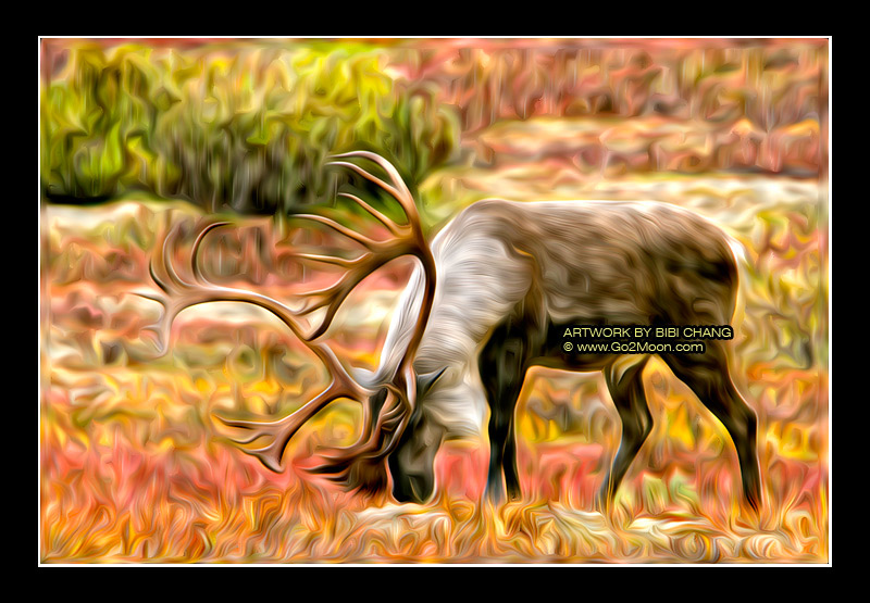 Caribou Oil Painting