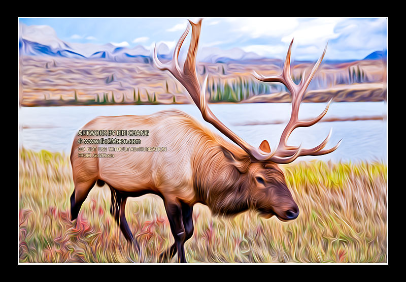 Elk Oil Painting