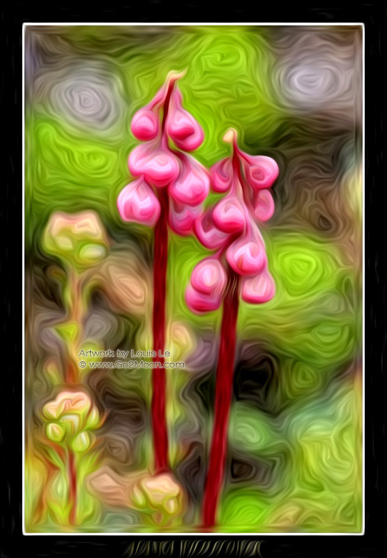Wildflower Oil Painting
