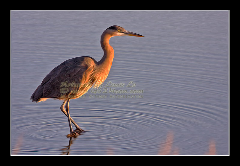 Blue Heron Oil Painting