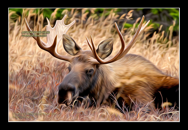 Moose Oil Painting
