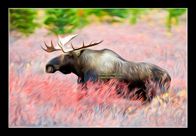 Moose Oil Painting