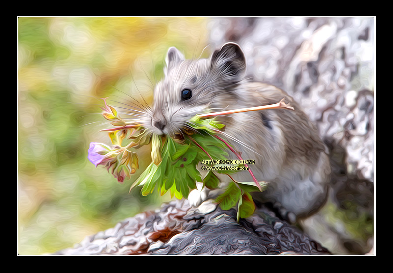 Pika Oil Painting