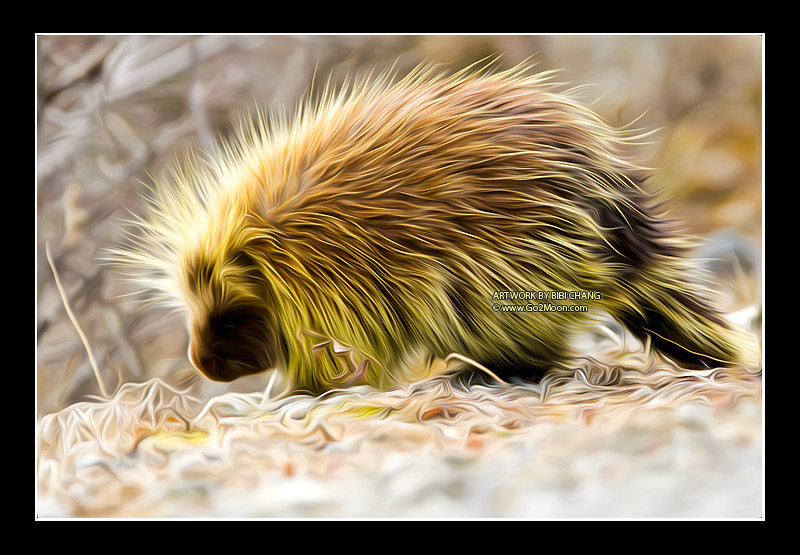 Porcupine Oil Painting