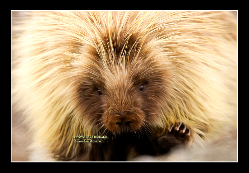 Porcupine Oil Painting