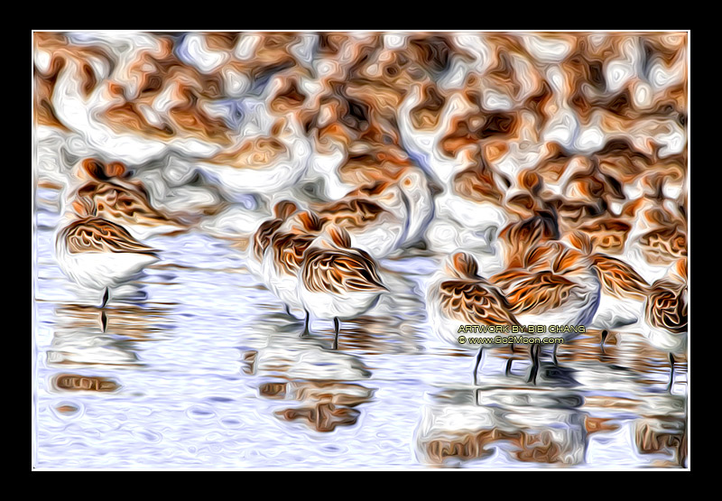 Sand Piper Oil Painting