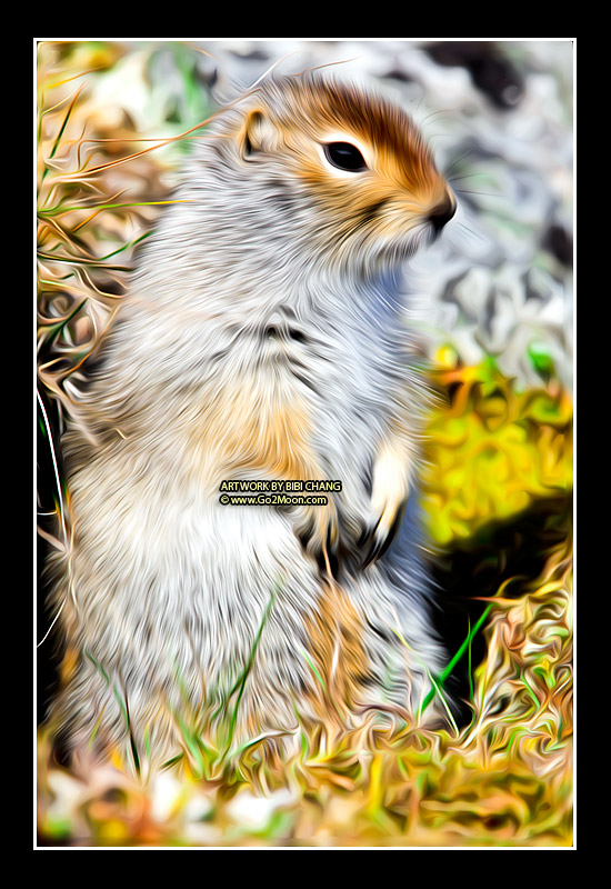 Squirrel Oil Painting