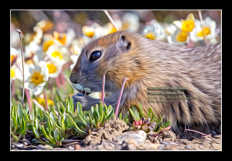 Squirrel Oil Painting