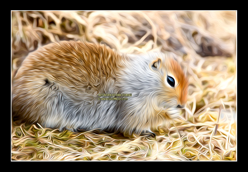 Squirrel Oil Painting