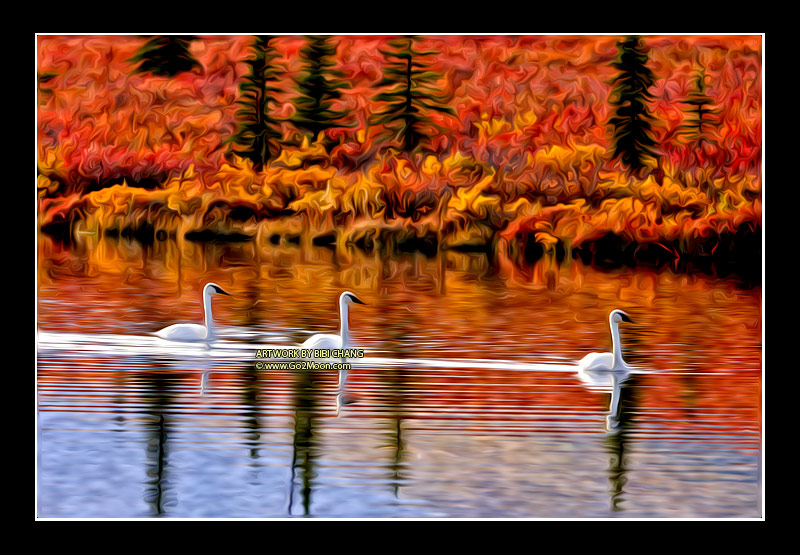 Swan Oil Painting
