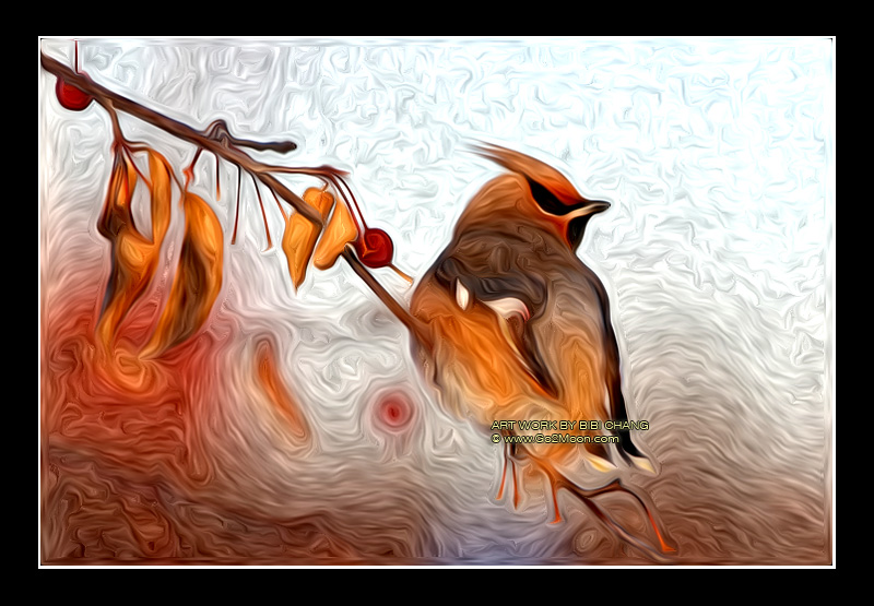 Waxwing Oil Painting