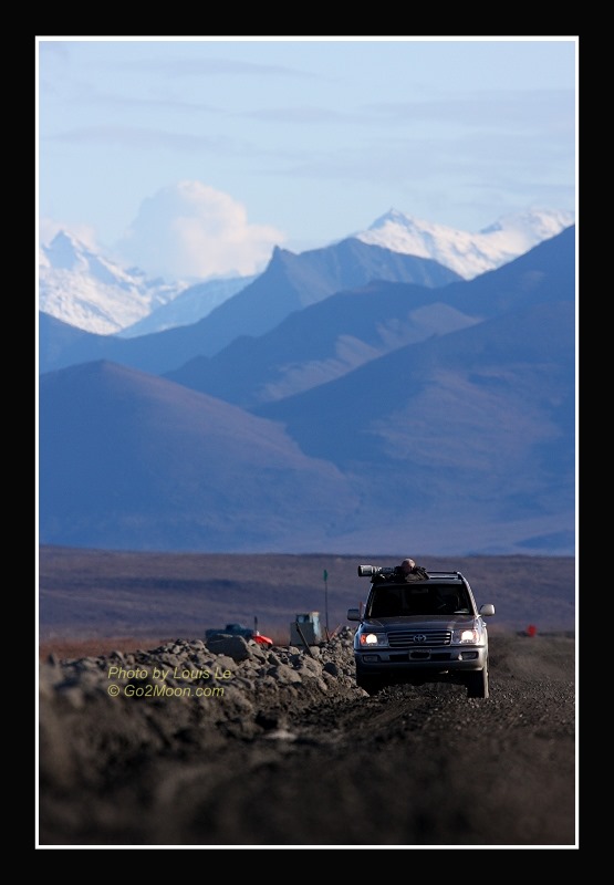 Photograph Wildlife from Car