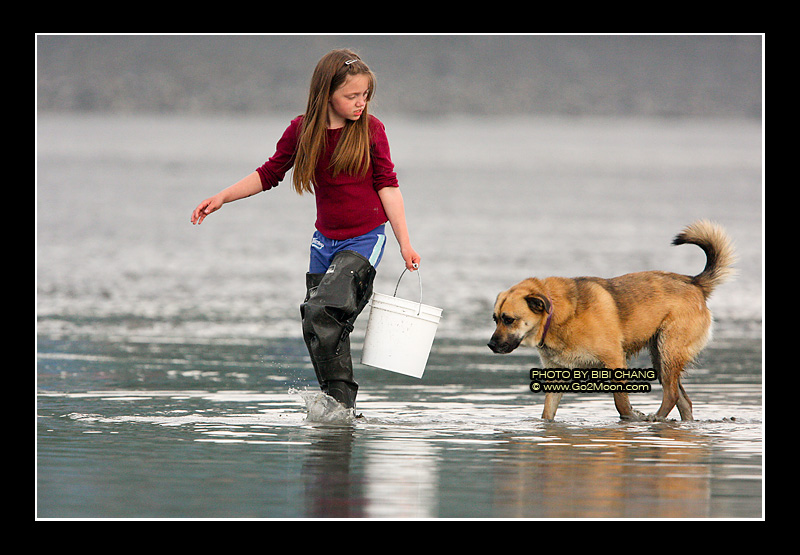 Kenai Clam Digging