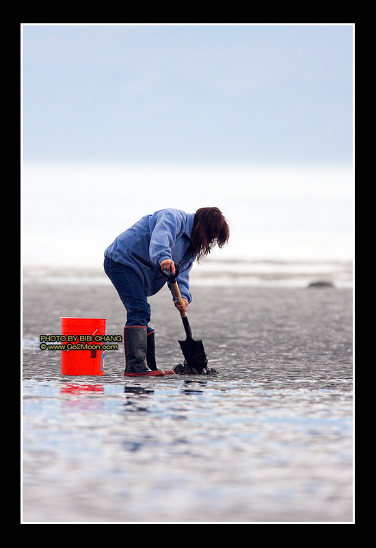 Clam Digging