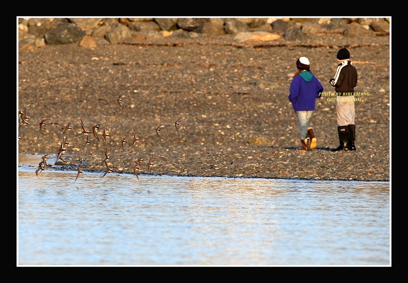 Walking on Beach