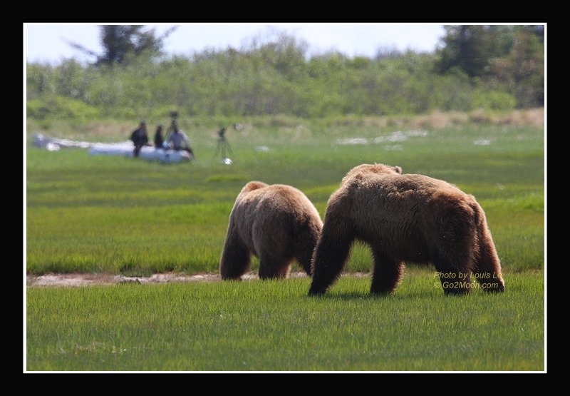 Bear Hallo Bay