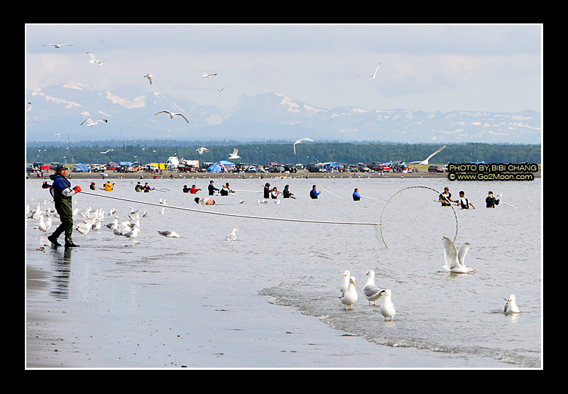 Sockeye Dipnetting