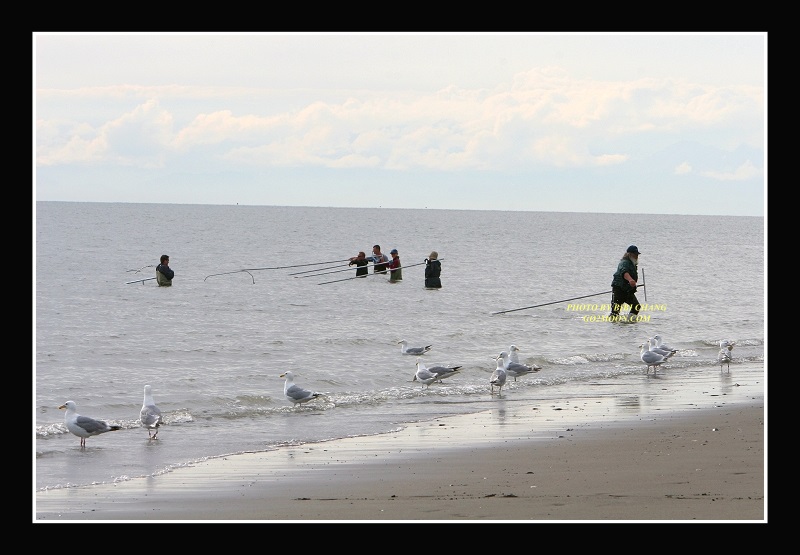 Salmon Dipnetting