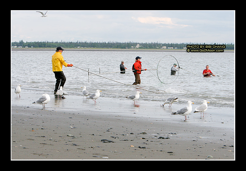Kenai Dipnetting