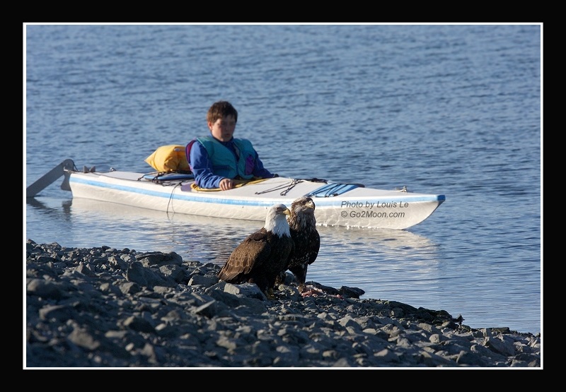 Canoe in Homer
