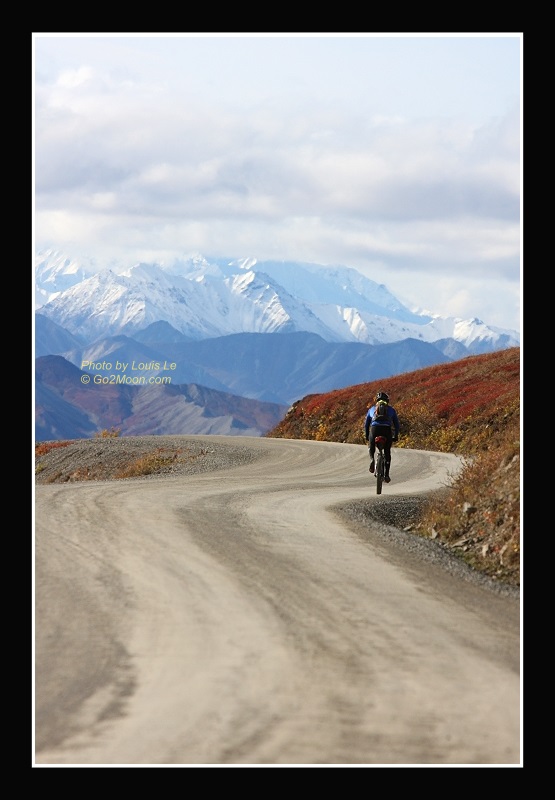 Biking in Denali