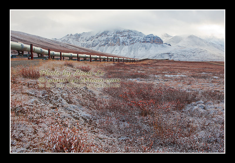 Alyeska Pipeline Tundra