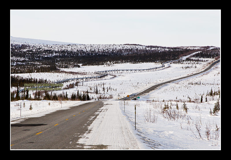 Pipeline in Arctic