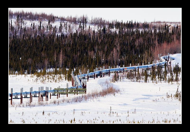 Alyeska Pipeline in Snow