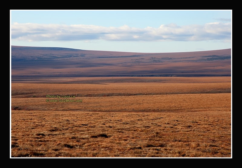 Arctic Circle Tundra