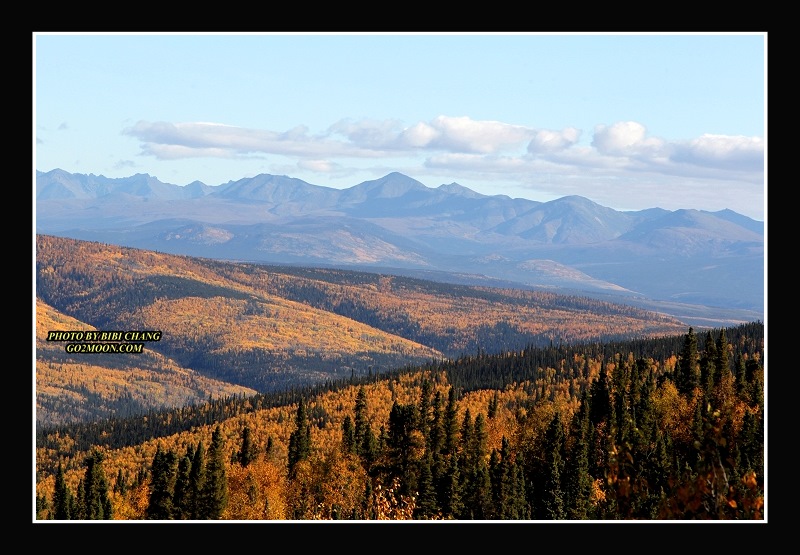 Dawson City View