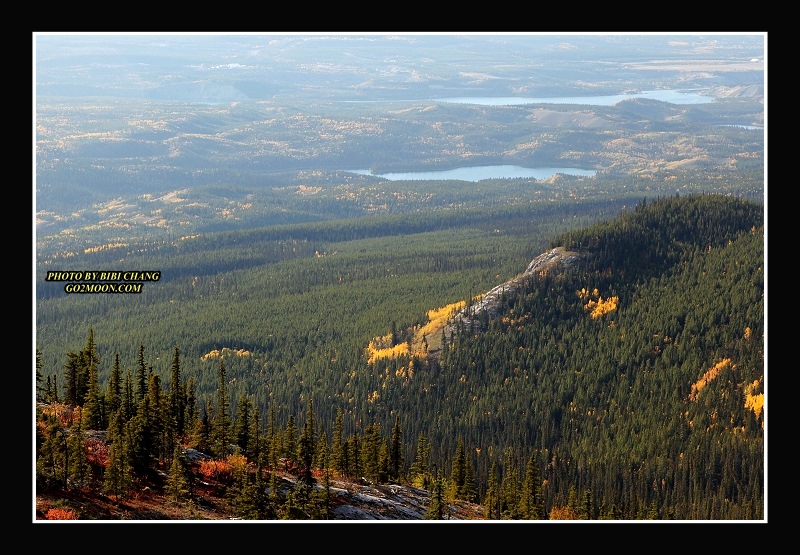 Grey Mountain Trail