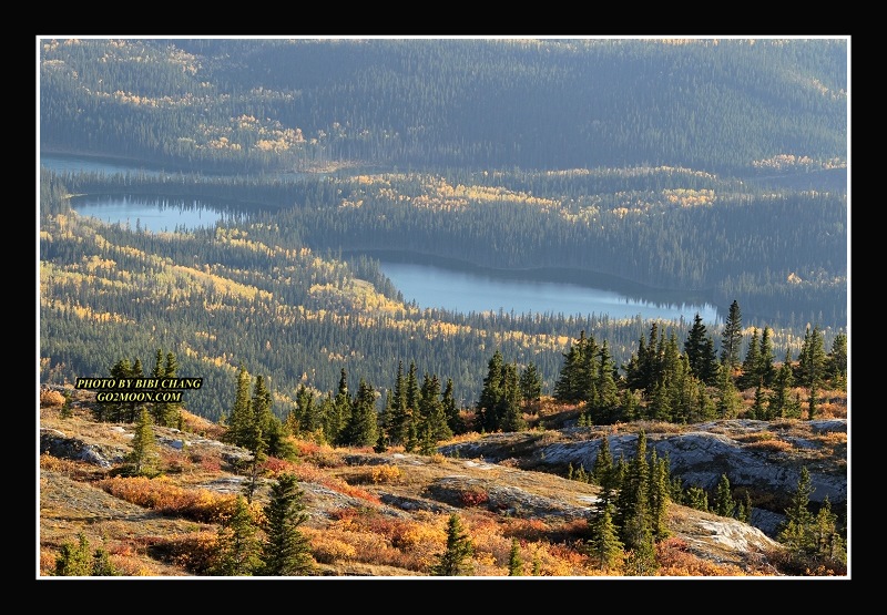Top of Grey Mountain