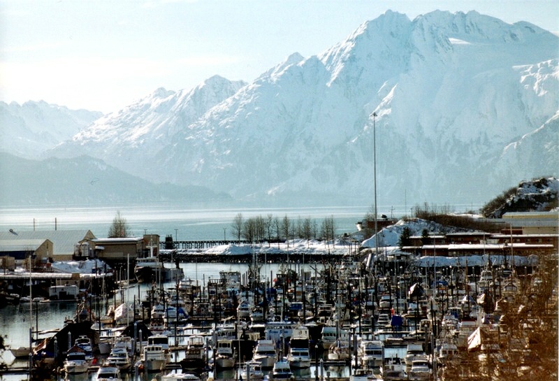 Valdez Harbor in Winter